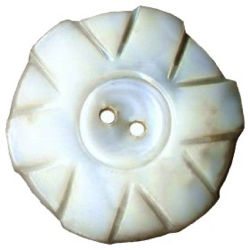 11-1 Iridescent Shell - Fresh Water Mussel  (1")